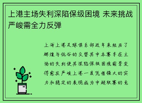 上港主场失利深陷保级困境 未来挑战严峻需全力反弹