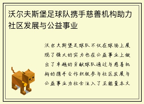 沃尔夫斯堡足球队携手慈善机构助力社区发展与公益事业